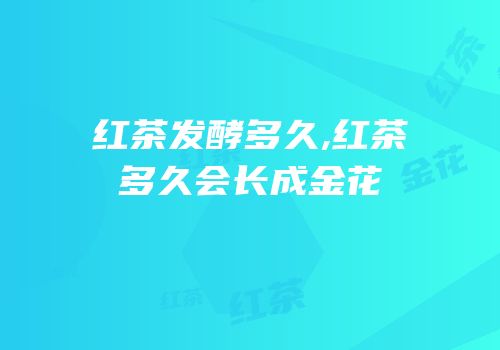 红茶发酵多久,红茶多久会长成金花