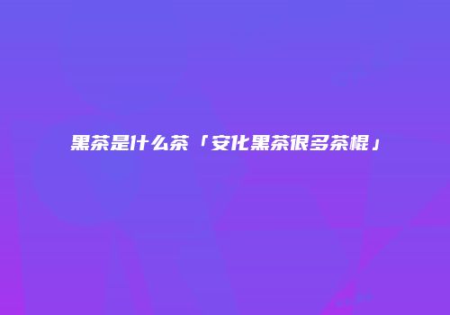 黑茶是什么茶「安化黑茶很多茶棍」