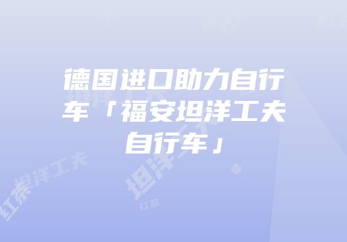 德国进口助力自行车「福安坦洋工夫自行车」
