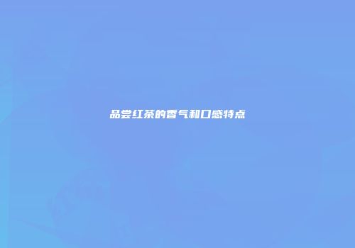 品尝红茶的香气和口感特点