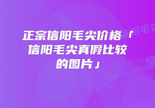 正宗信阳毛尖价格「信阳毛尖真假比较的图片」