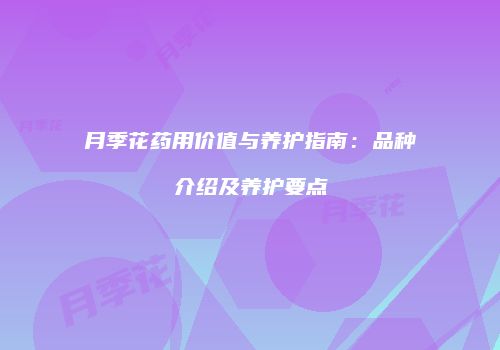 月季花药用价值与养护指南：品种介绍及养护要点
