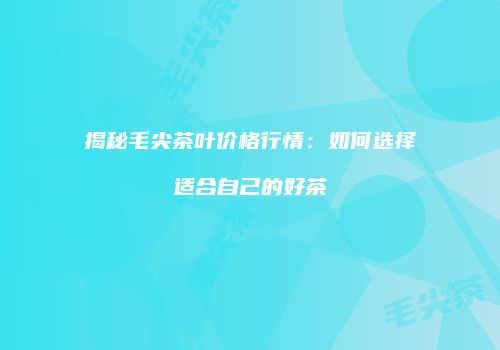 揭秘毛尖茶叶价格行情：如何选择适合自己的好茶