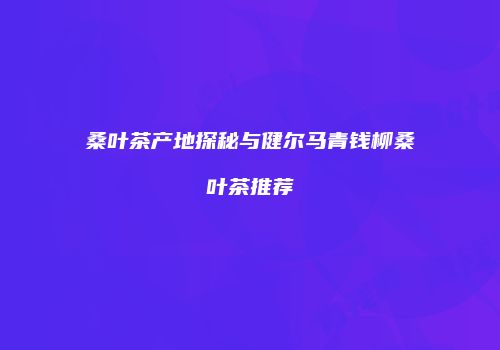 桑叶茶产地探秘与健尔马青钱柳桑叶茶推荐