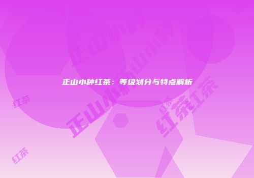 正山小种红茶：等级划分与特点解析