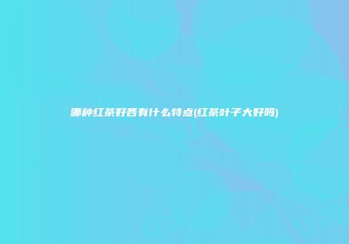 哪种红茶好各有什么特点(红茶叶子大好吗)