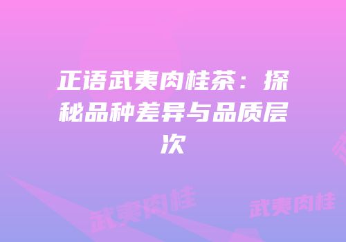 正语武夷肉桂茶：探秘品种差异与品质层次