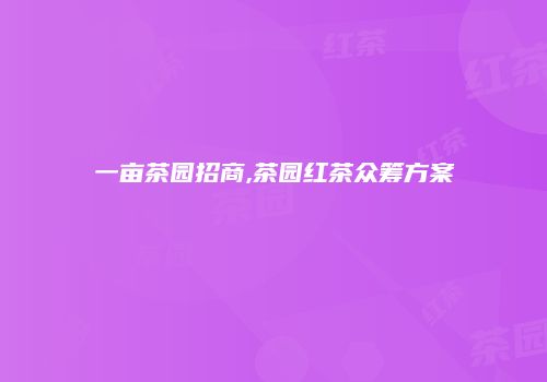 一亩茶园招商,茶园红茶众筹方案