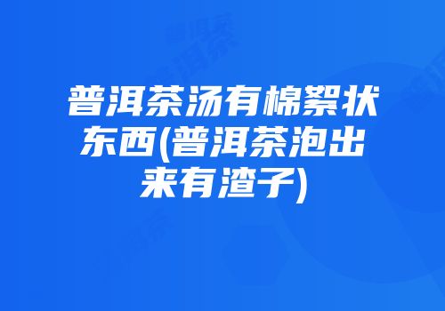 普洱茶汤有棉絮状东西(普洱茶泡出来有渣子)