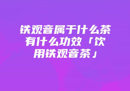 铁观音属于什么茶有什么功效「饮用铁观音茶」