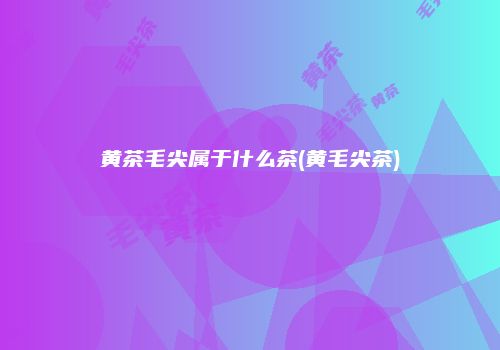 黄茶毛尖属于什么茶(黄毛尖茶)