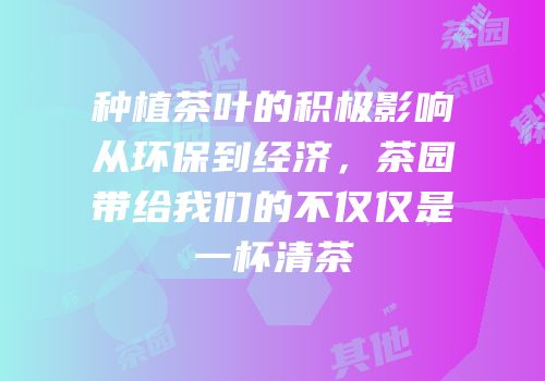 种植茶叶的积极影响从环保到经济，茶园带给我们的不仅仅是一杯清茶