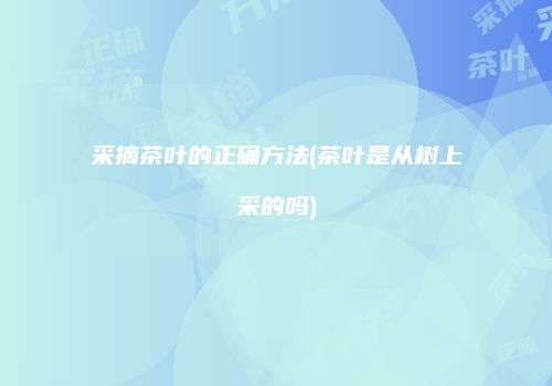采摘茶叶的正确方法(茶叶是从树上采的吗)
