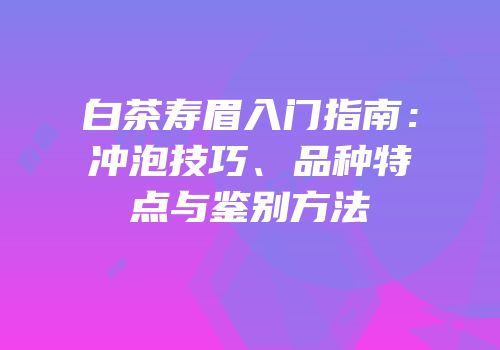 白茶寿眉入门指南：冲泡技巧、品种特点与鉴别方法