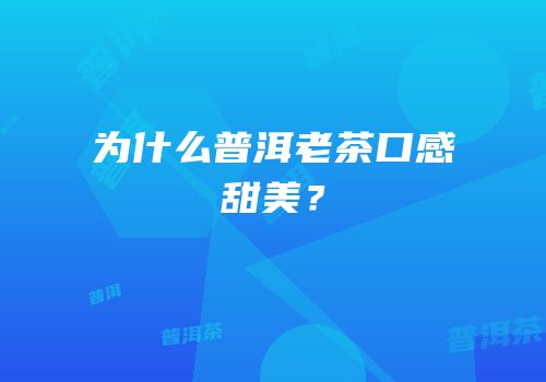 为什么普洱老茶口感甜美？