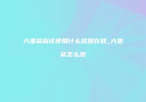 六堡茶应该使用什么容器存放_六堡茶怎么泡