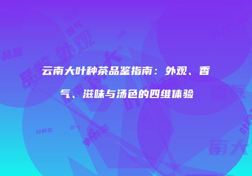 云南大叶种茶品鉴指南：外观、香气、滋味与汤色的四维体验