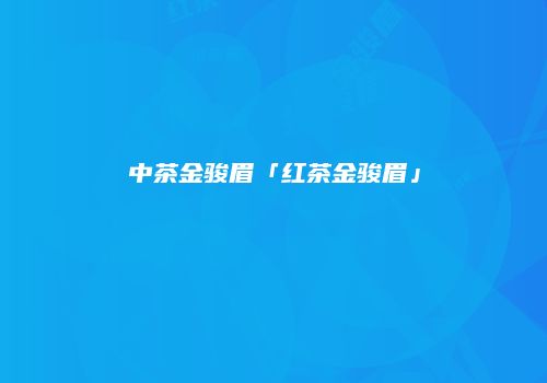 中茶金骏眉「红茶金骏眉」