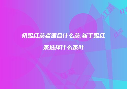 初喝红茶者适合什么茶,新手喝红茶选择什么茶叶