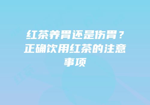 红茶养胃还是伤胃？正确饮用红茶的注意事项