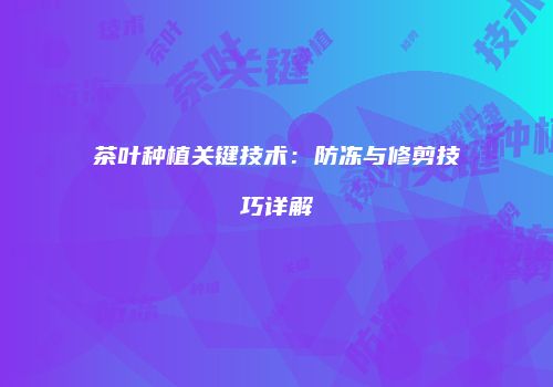 茶叶种植关键技术：防冻与修剪技巧详解
