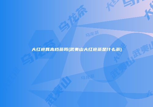 大红袍算高档茶吗(武夷山大红袍茶是什么茶)