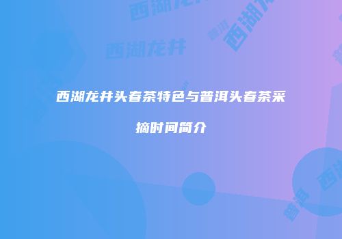 西湖龙井头春茶特色与普洱头春茶采摘时间简介