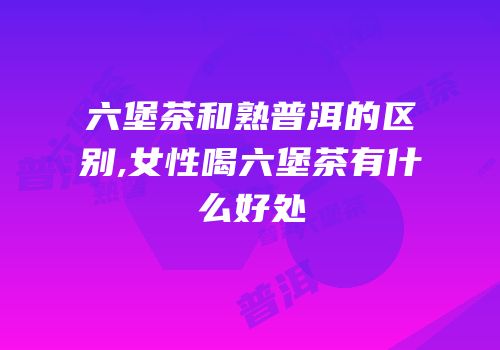 六堡茶和熟普洱的区别,女性喝六堡茶有什么好处