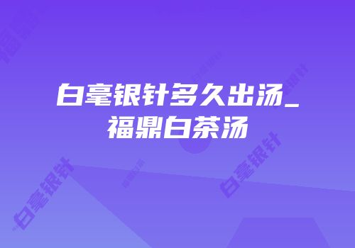白毫银针多久出汤_福鼎白茶汤