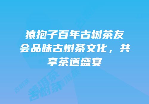 猿抱子百年古树茶友会品味古树茶文化，共享茶道盛宴