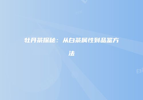 牡丹茶探秘：从白茶属性到品鉴方法