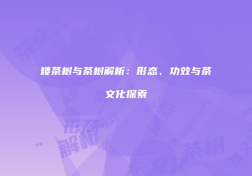 矮茶树与茶树解析：形态、功效与茶文化探索