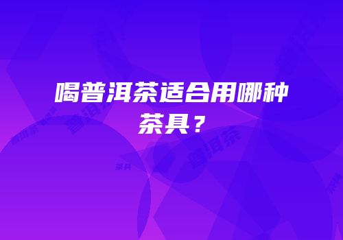 喝普洱茶适合用哪种茶具？