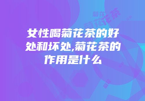 女性喝菊花茶的好处和坏处,菊花茶的作用是什么