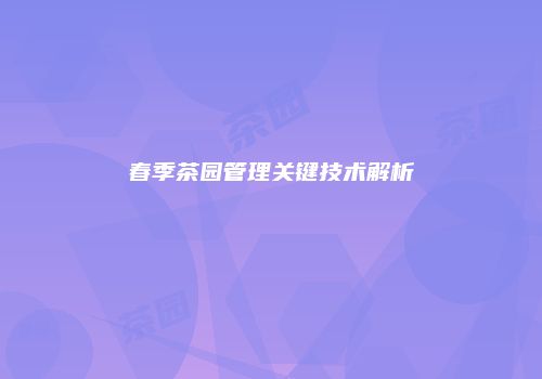 春季茶园管理关键技术解析