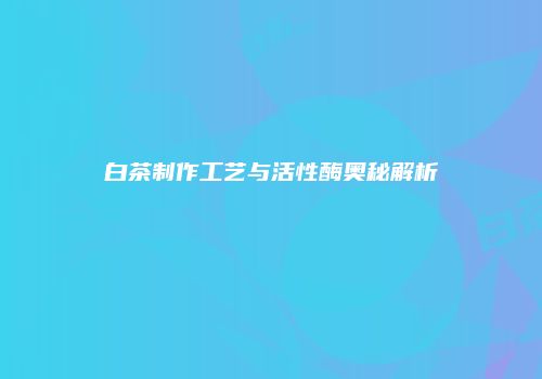 白茶制作工艺与活性酶奥秘解析