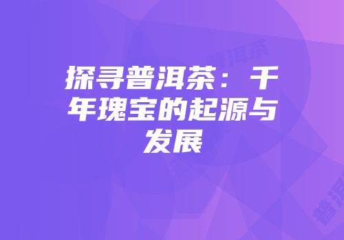 探寻普洱茶：千年瑰宝的起源与发展