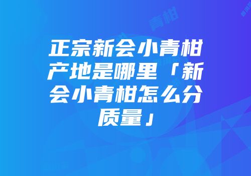 正宗新会小青柑产地是哪里「新会小青柑怎么分质量」
