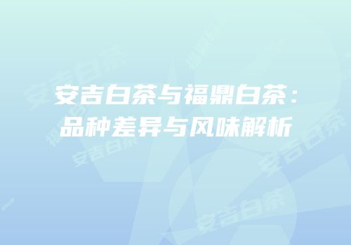 安吉白茶与福鼎白茶：品种差异与风味解析
