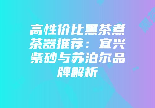 高性价比黑茶煮茶器推荐：宜兴紫砂与苏泊尔品牌解析