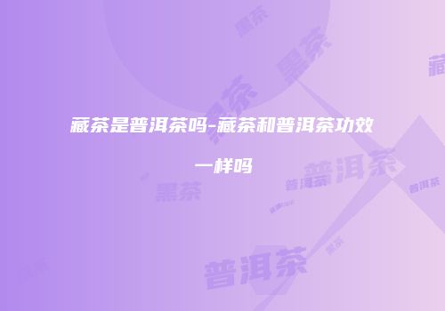 藏茶是普洱茶吗-藏茶和普洱茶功效一样吗