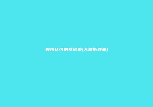 央视认可的紫砂壶(大益紫砂壶)