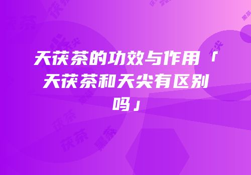 天茯茶的功效与作用「天茯茶和天尖有区别吗」