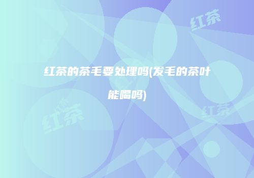 红茶的茶毛要处理吗(发毛的茶叶能喝吗)
