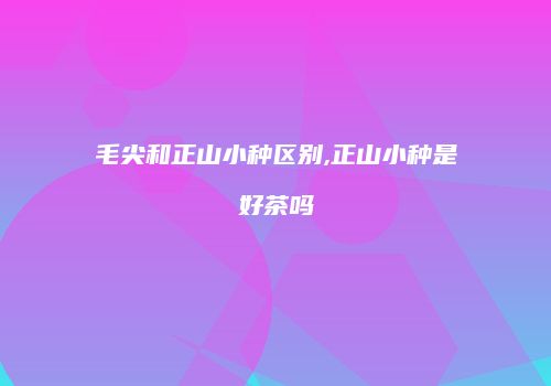 毛尖和正山小种区别,正山小种是好茶吗