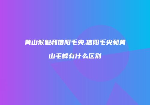 黄山猴魁和信阳毛尖,信阳毛尖和黄山毛峰有什么区别