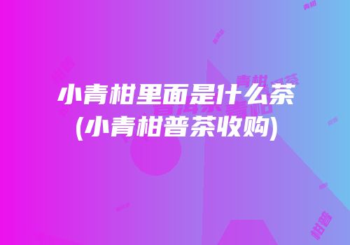 小青柑里面是什么茶(小青柑普茶收购)
