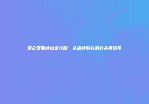 昆仑雪菊种植全攻略：从播种到收割的实用指导