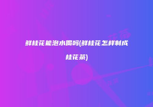 鲜桂花能泡水喝吗(鲜桂花怎样制成桂花茶)