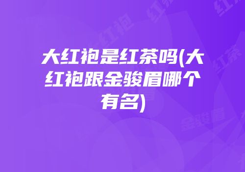 大红袍是红茶吗(大红袍跟金骏眉哪个有名)